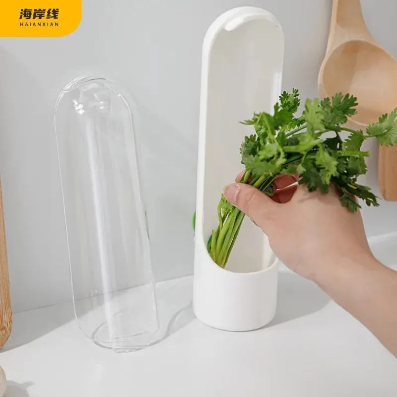 Vegetable & Herb Container