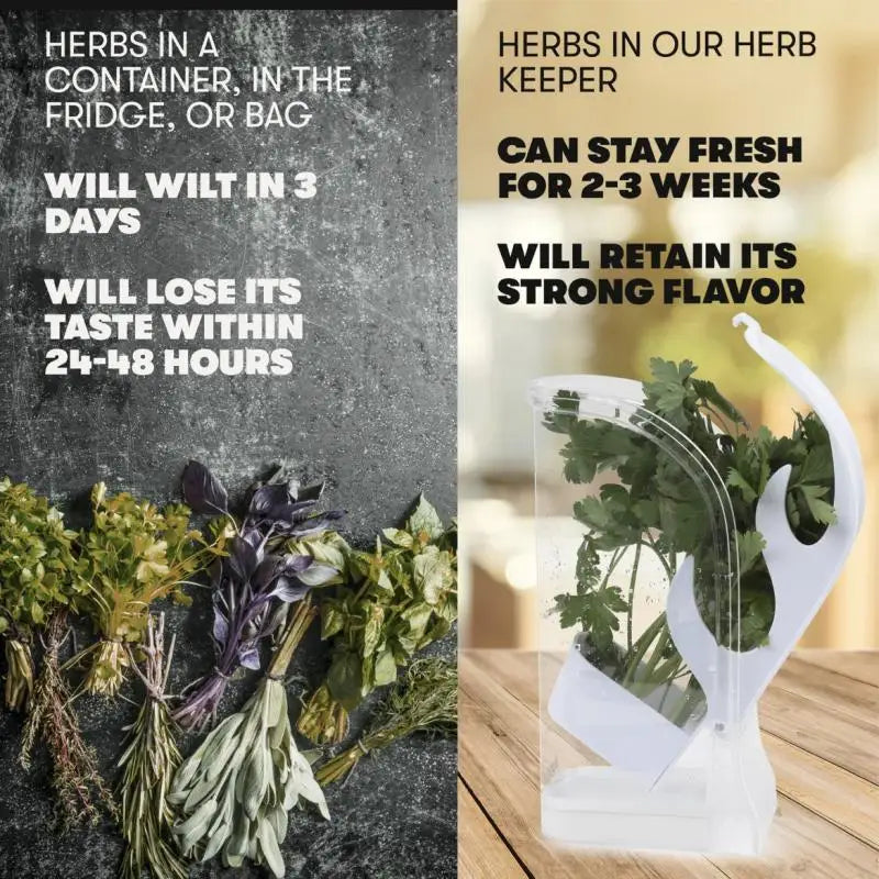 Herb Crisper Container