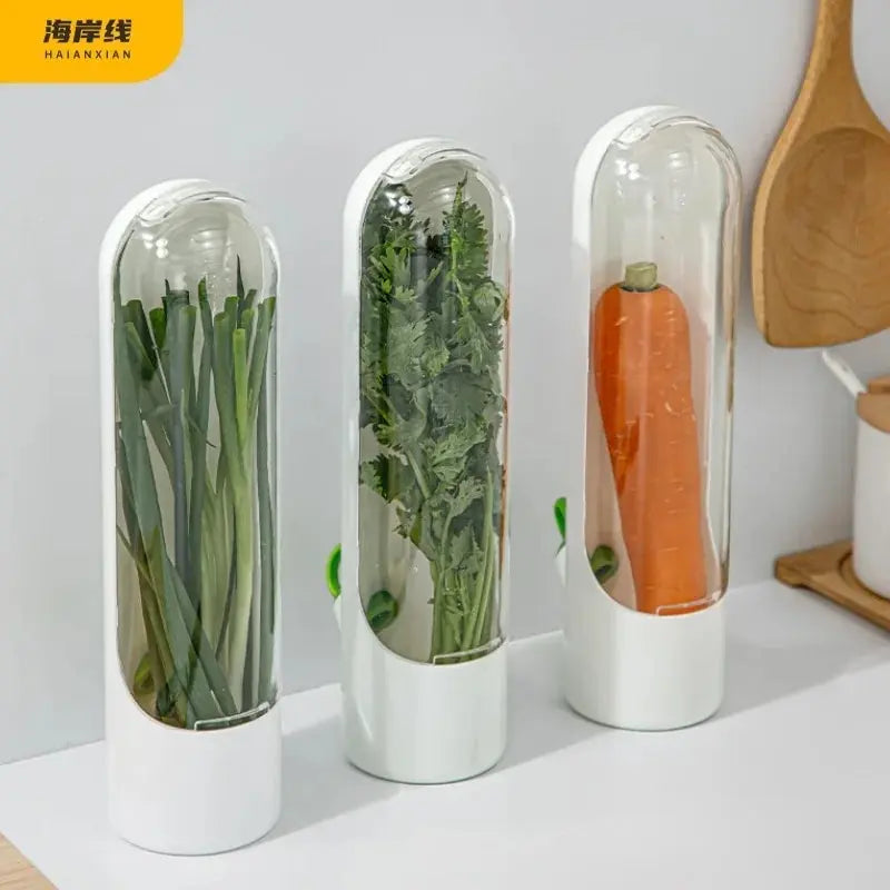 Vegetable & Herb Container