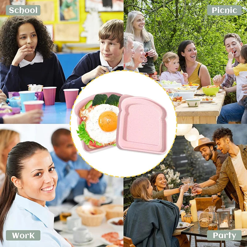 Sandwich Lunch Boxes